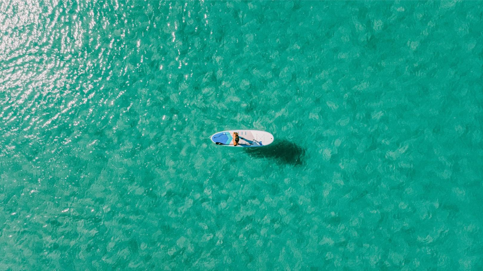 taweeroj-eawpanich-szb9DS1zkww-unsplash (1).jpg