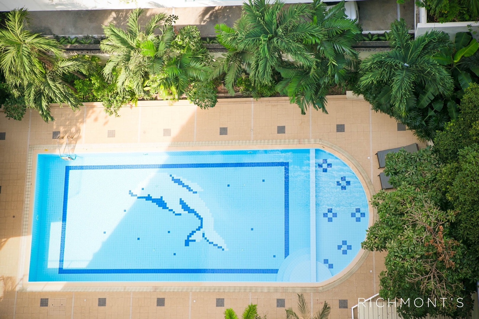 Swimming pool b.jpg