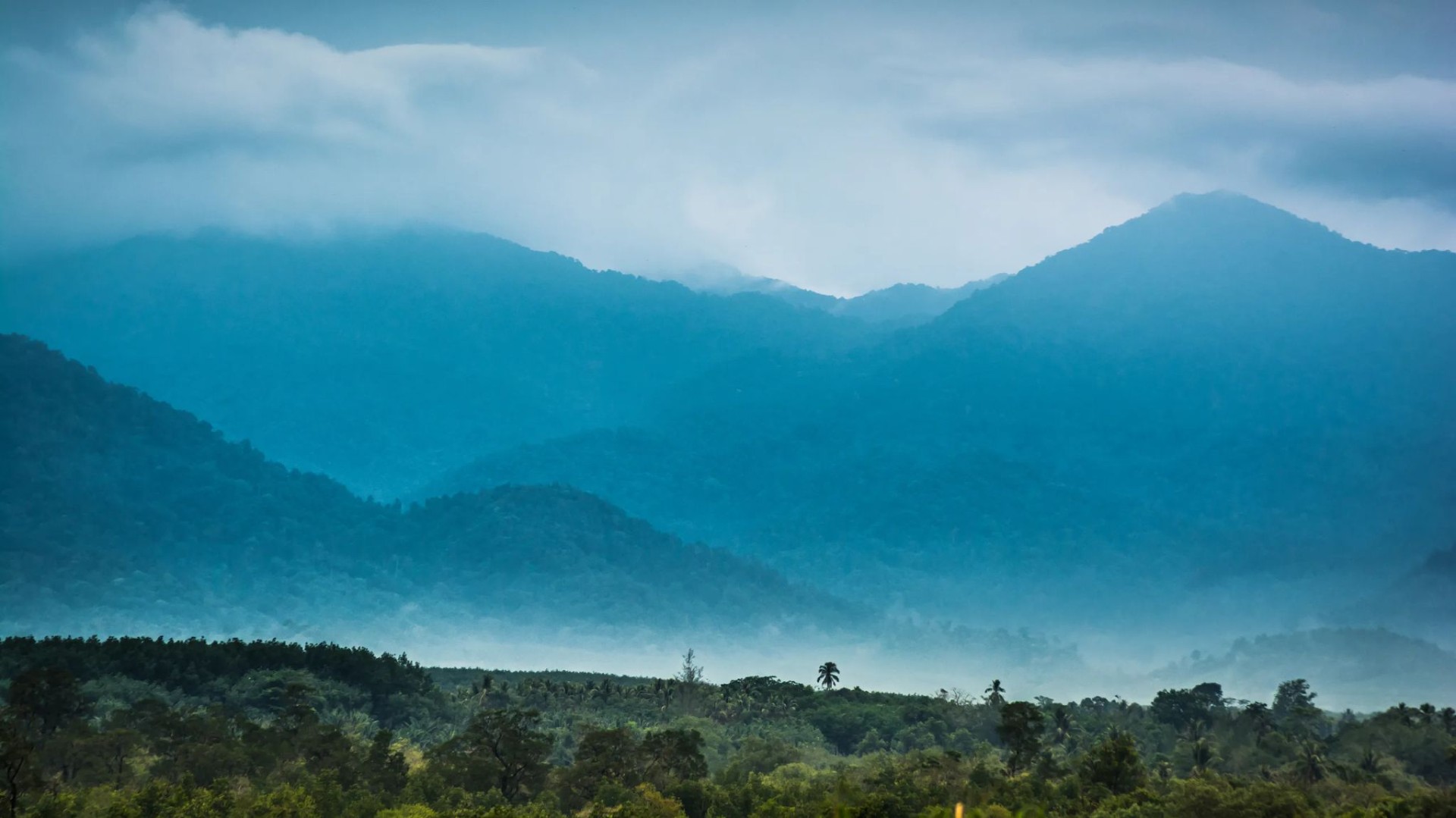 Khao-Yai-National-Park_GettyImages-506107301 (1).jpg