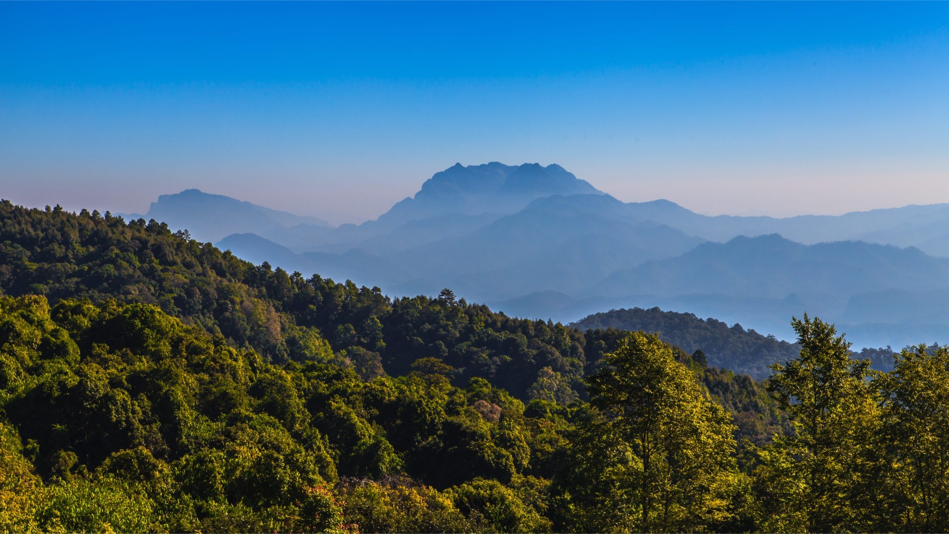 Chiang Mai 2.jpg
